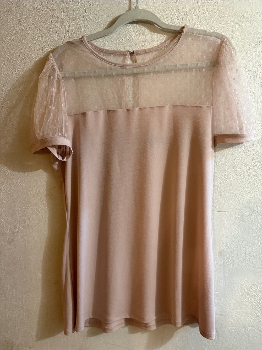 Express Blush Pink Sheer Dotted Yoke Top